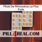 Pilule De Rhinocéros La Plus Forte cialis4